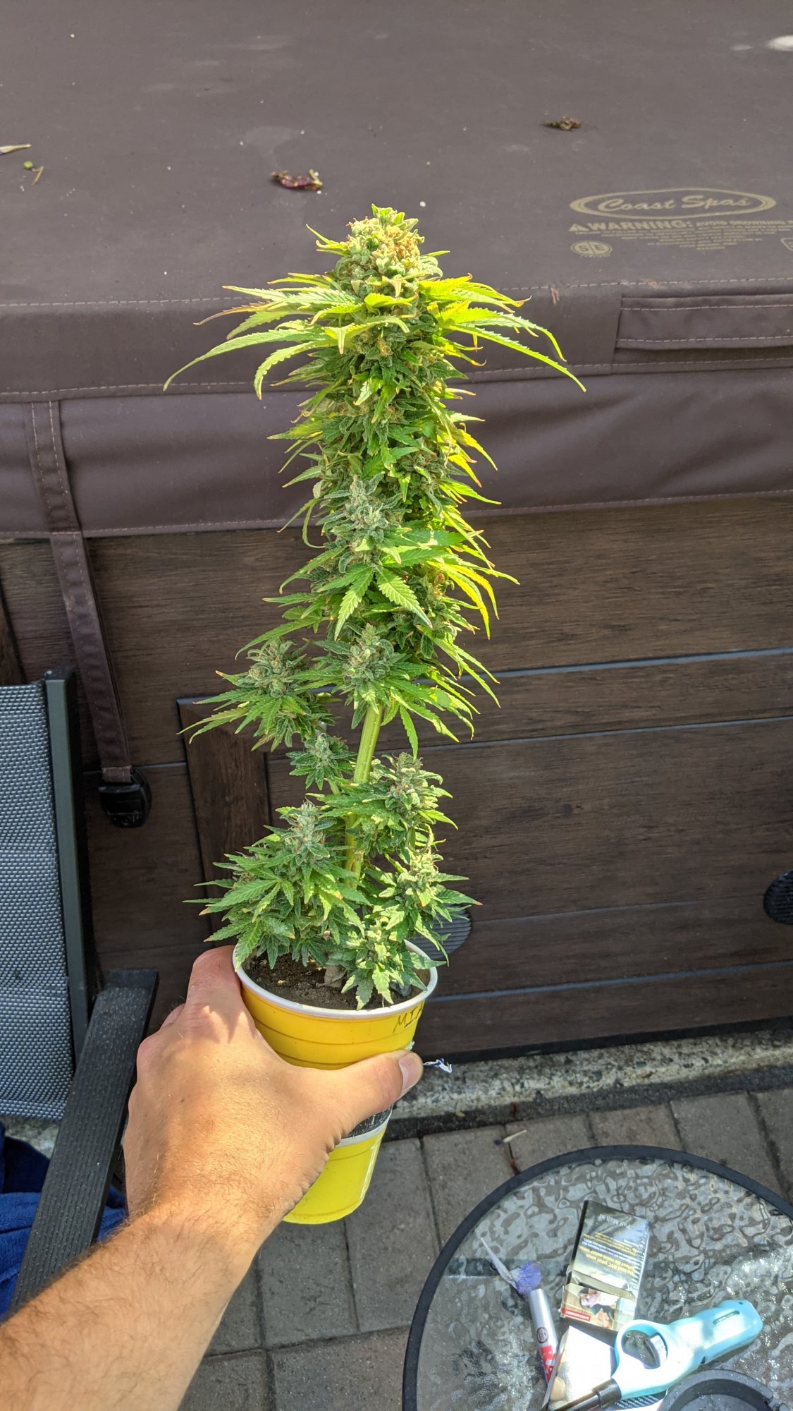 PXL 20210728 174125073