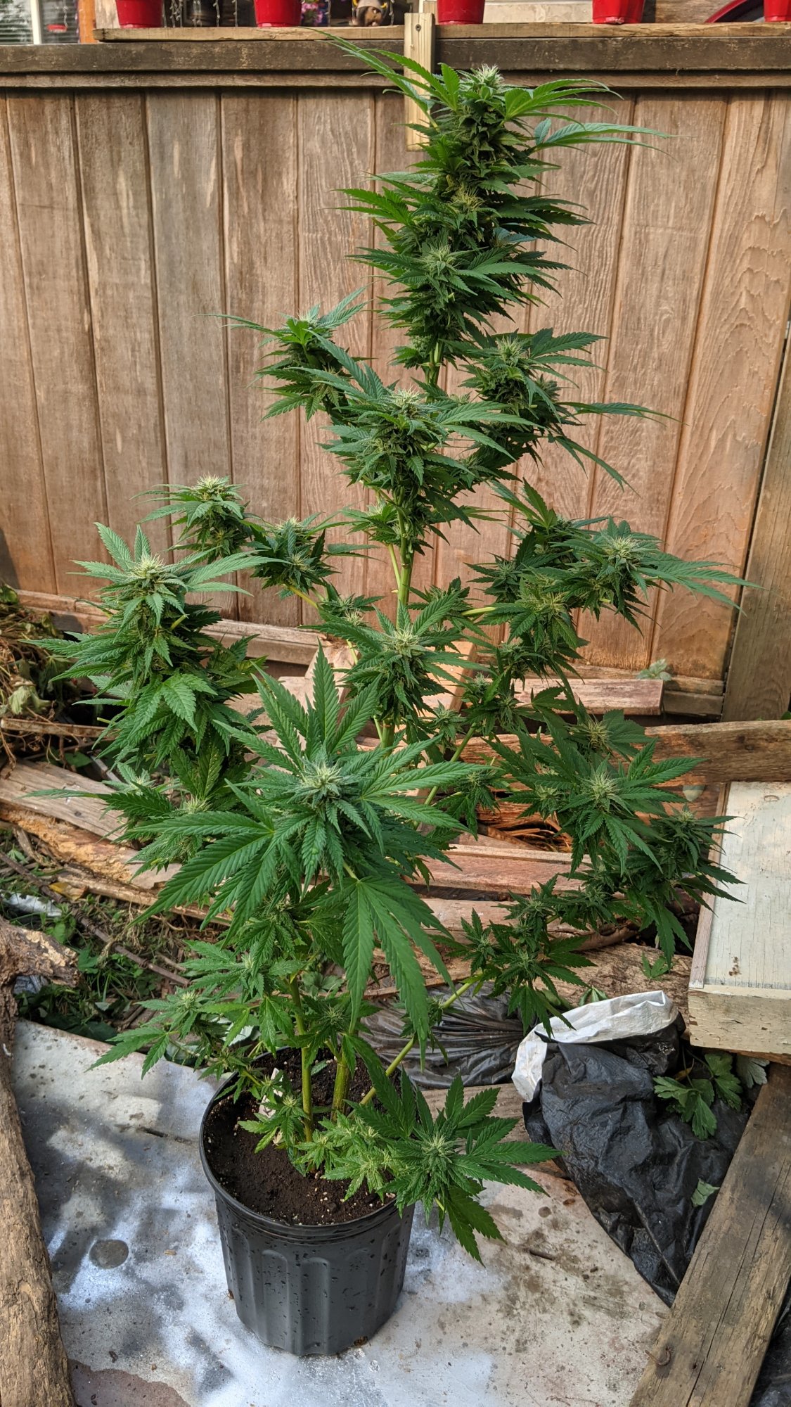 PXL 20210802 001422788