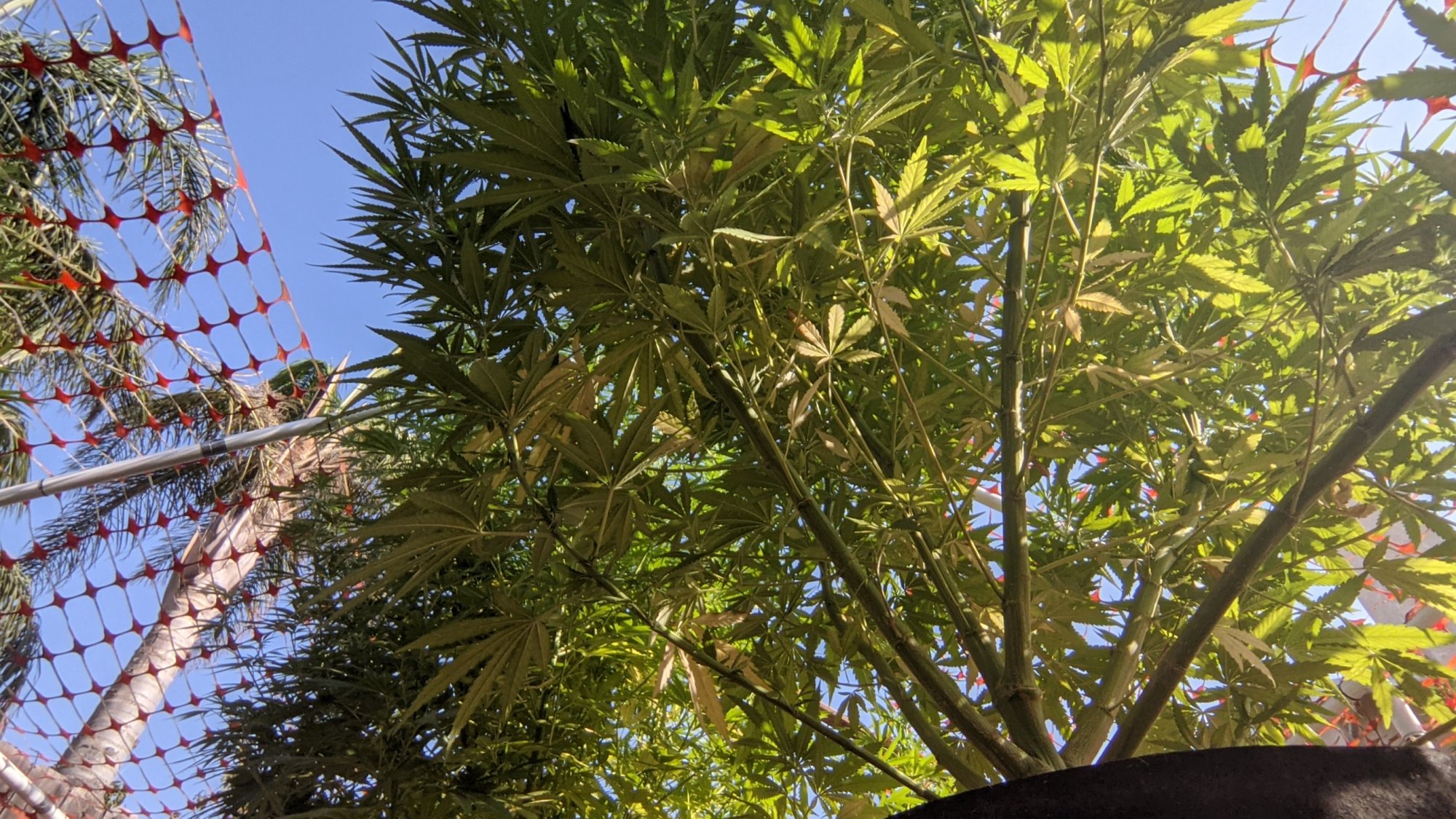 PXL 20210822 001726803