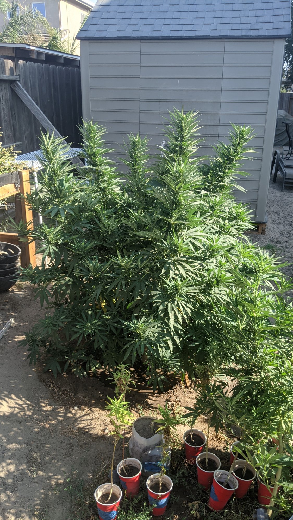 PXL 20210822 001758386