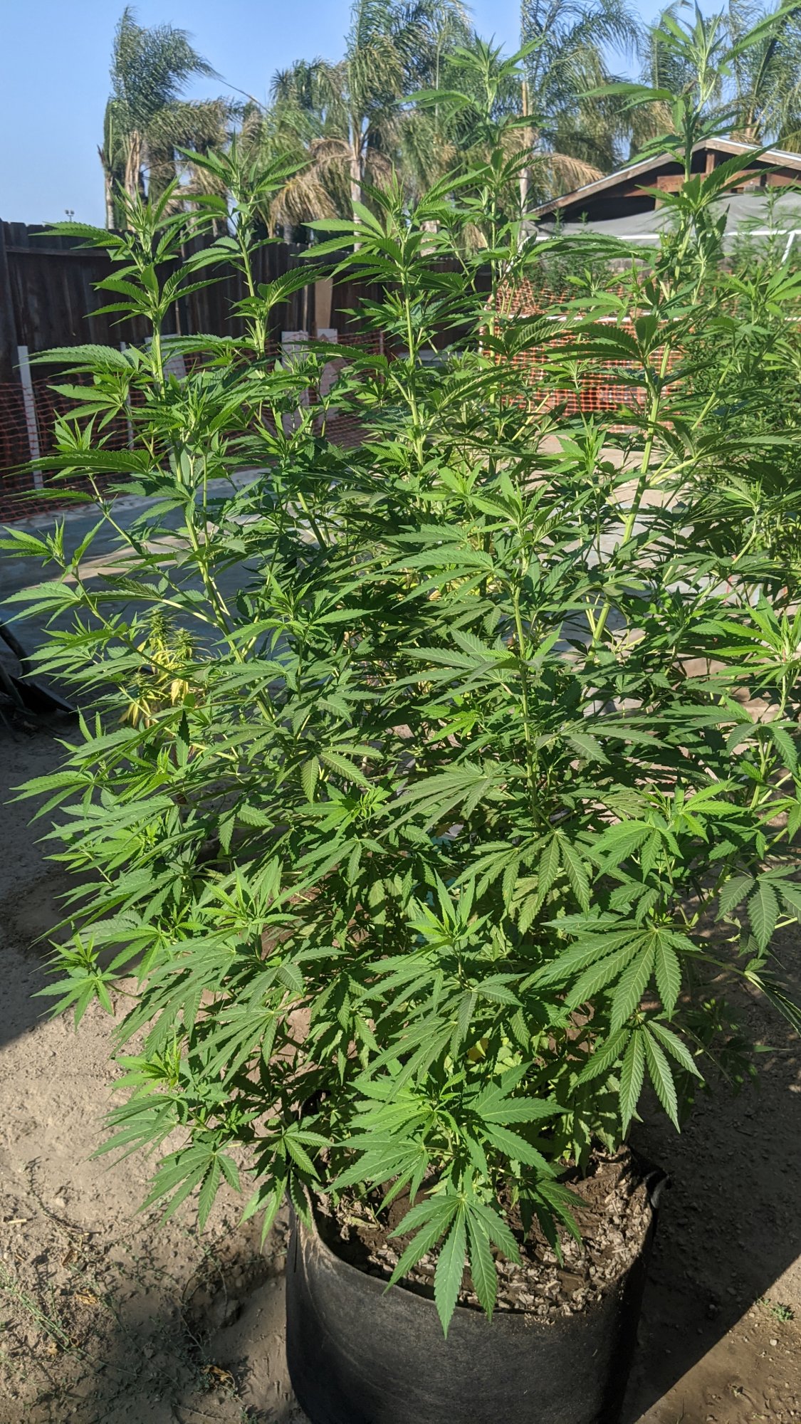 PXL 20210822 003016768