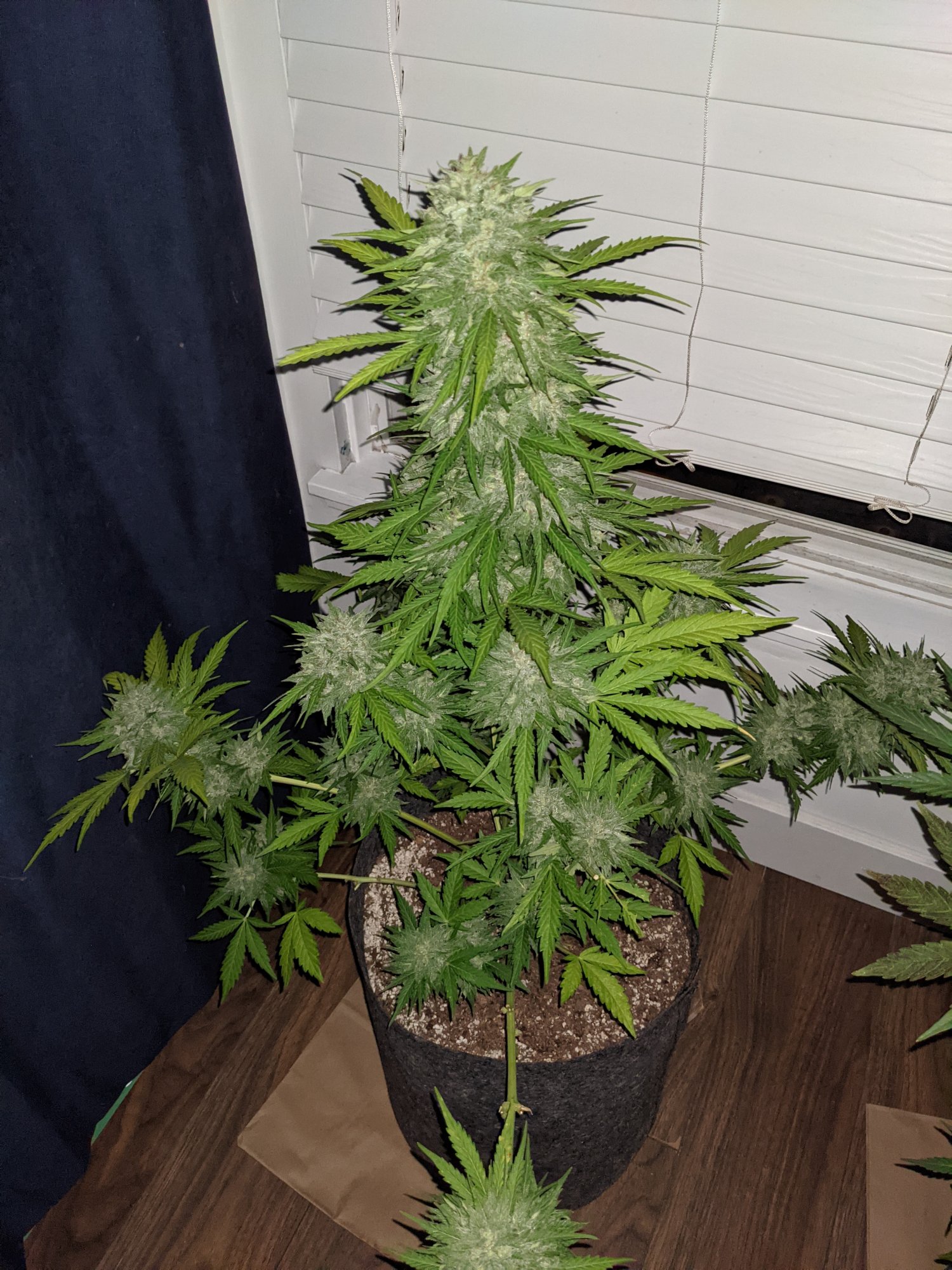 PXL 20210822 052956589