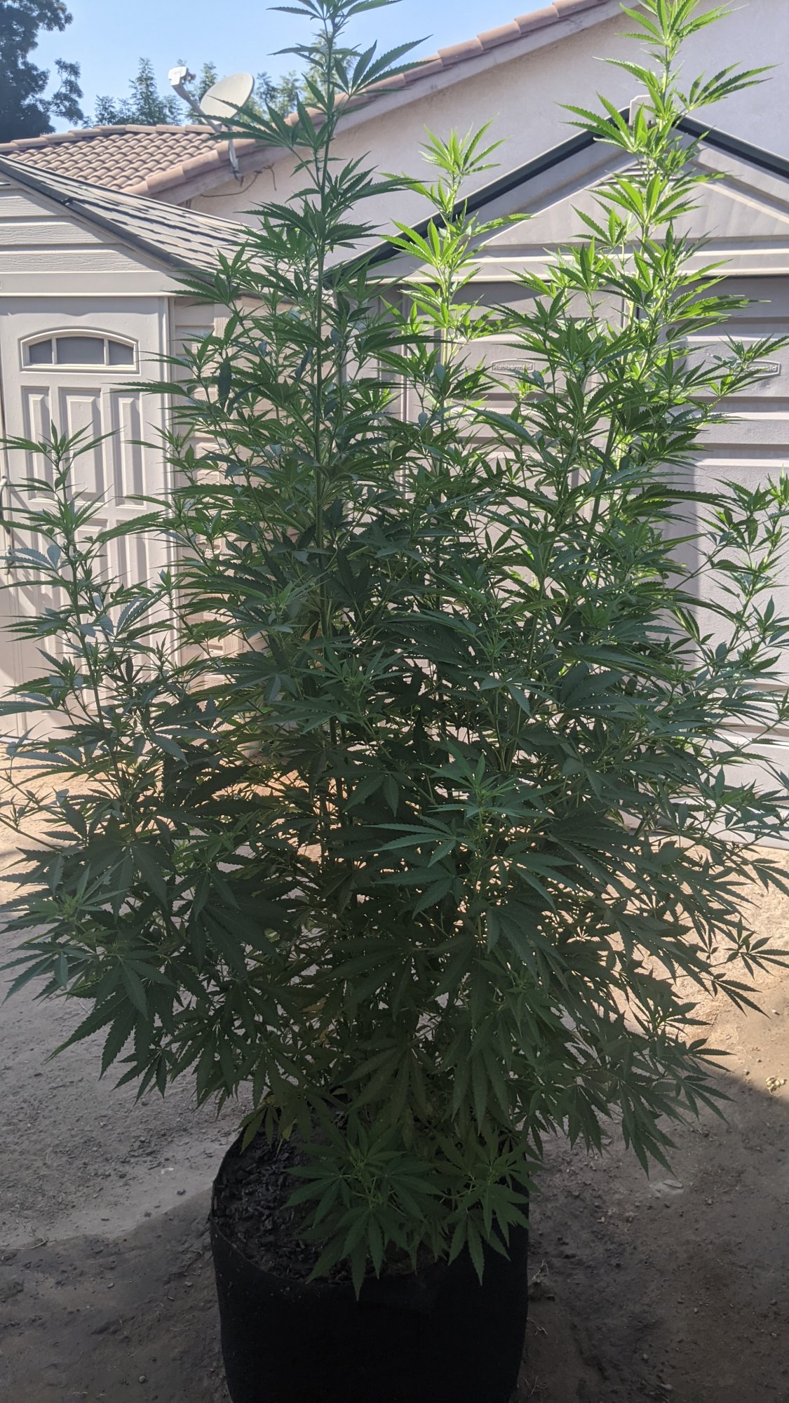 PXL 20210903 222927098