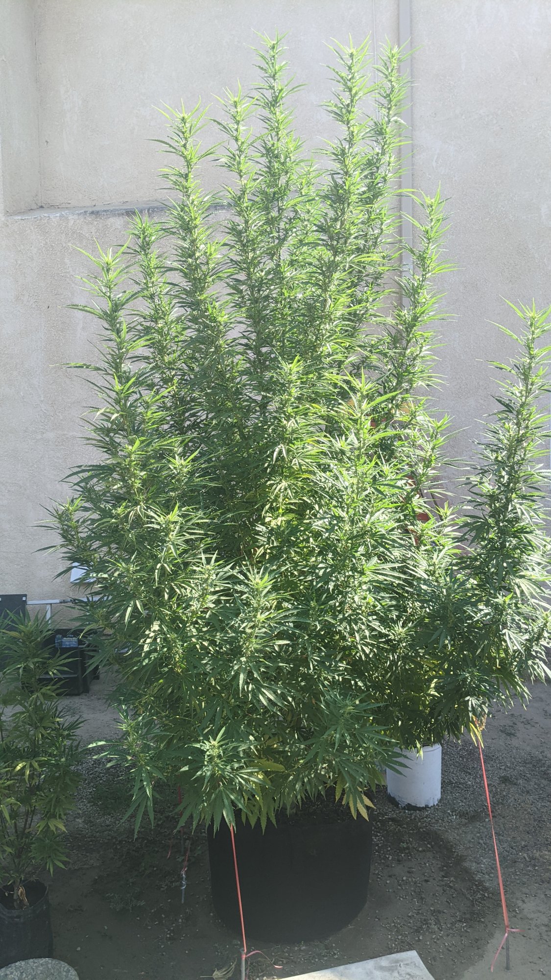 PXL 20210903 222951549