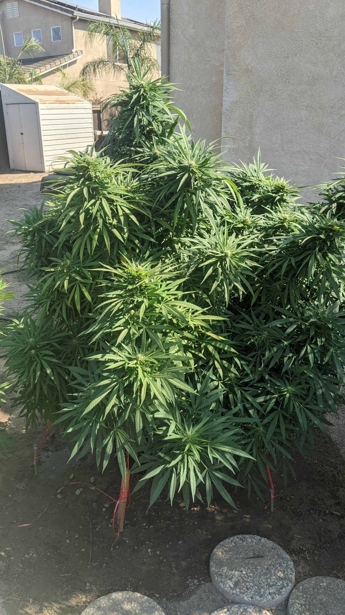 PXL 20210903 223008380