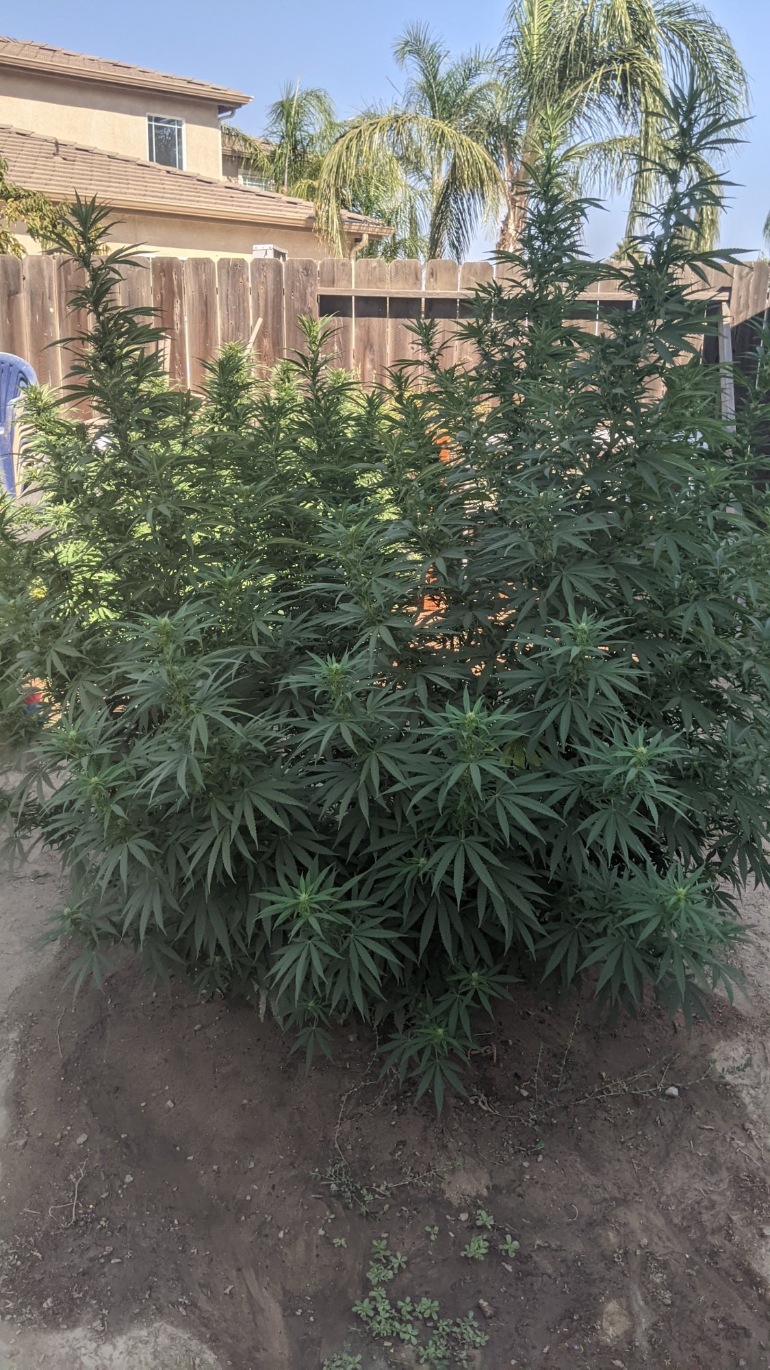PXL 20210903 223103807
