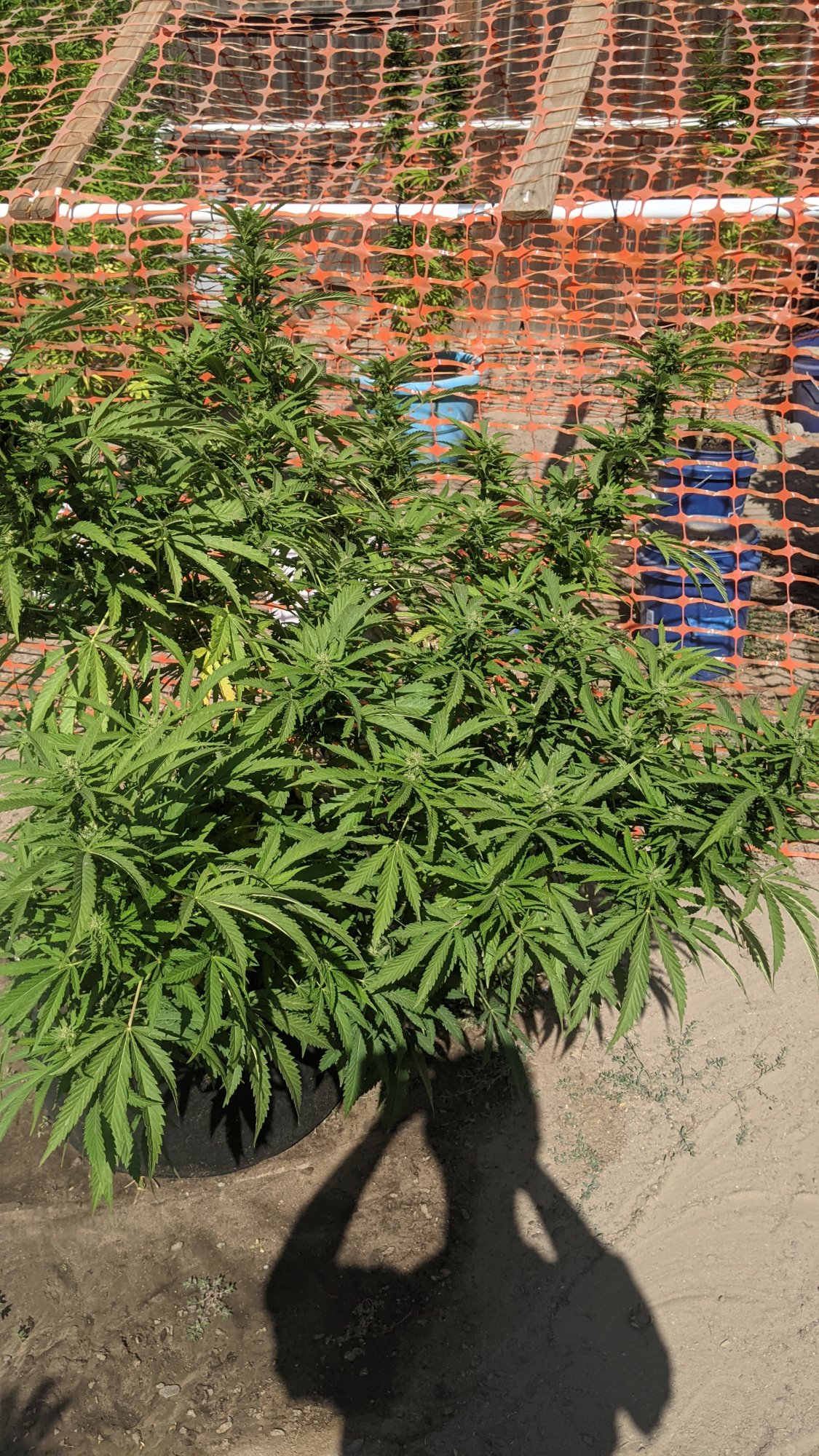 PXL 20210903 223143969