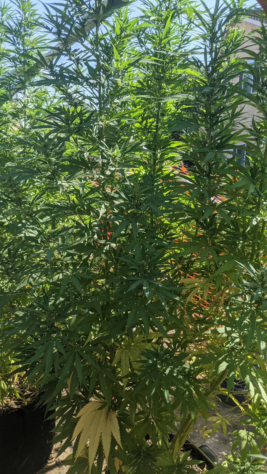 PXL 20210903 223239770
