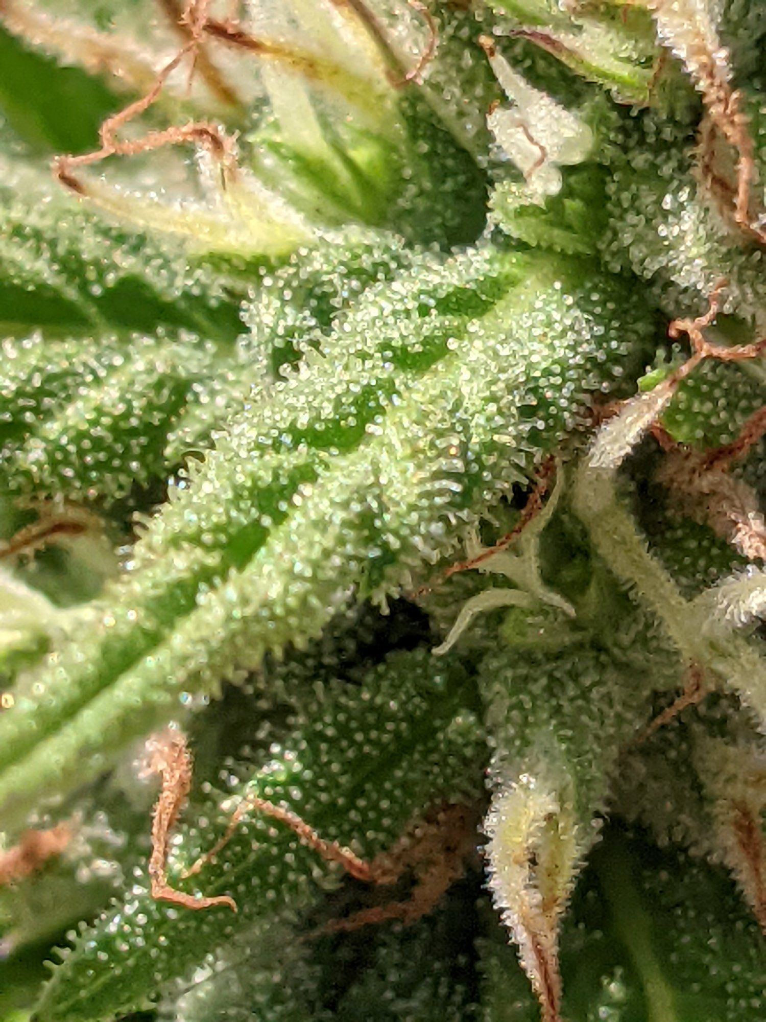 PXL 20210906 134714639
