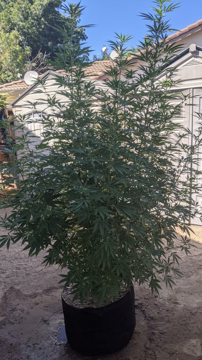 PXL 20210912 211544854