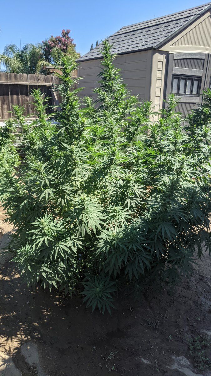 PXL 20210912 211638300