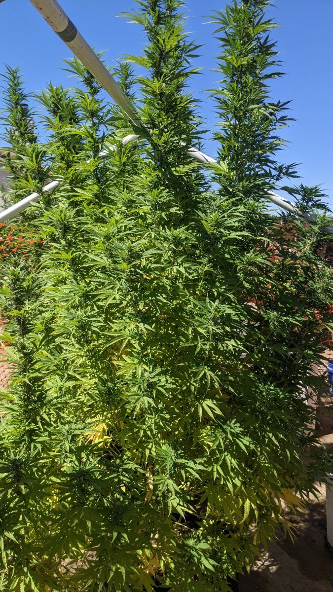 PXL 20210912 211751717