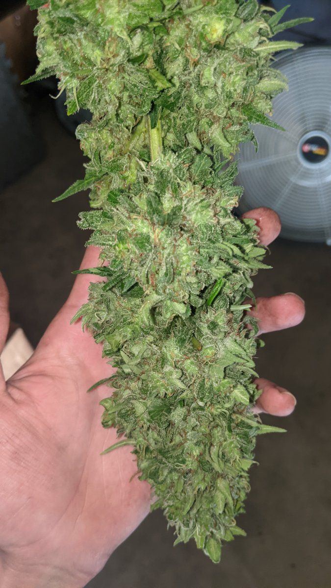 PXL 20210927 223813651