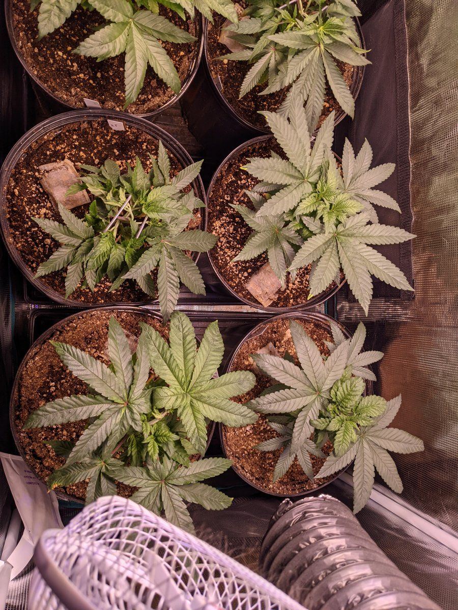 PXL 20211110 174257549