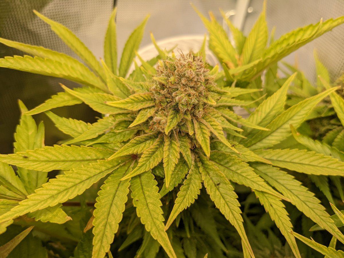 PXL 20220109 113738055