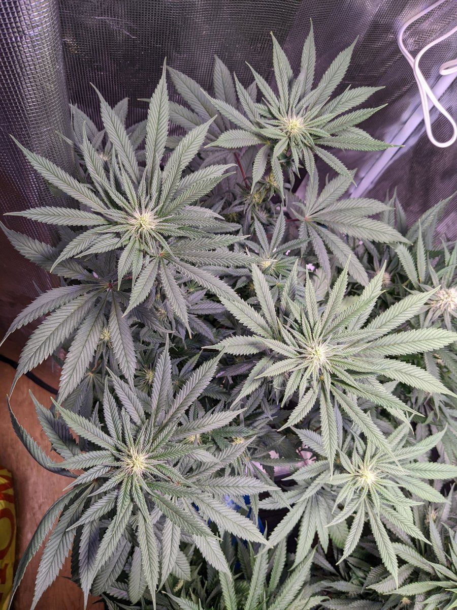 PXL 20220323 084852165