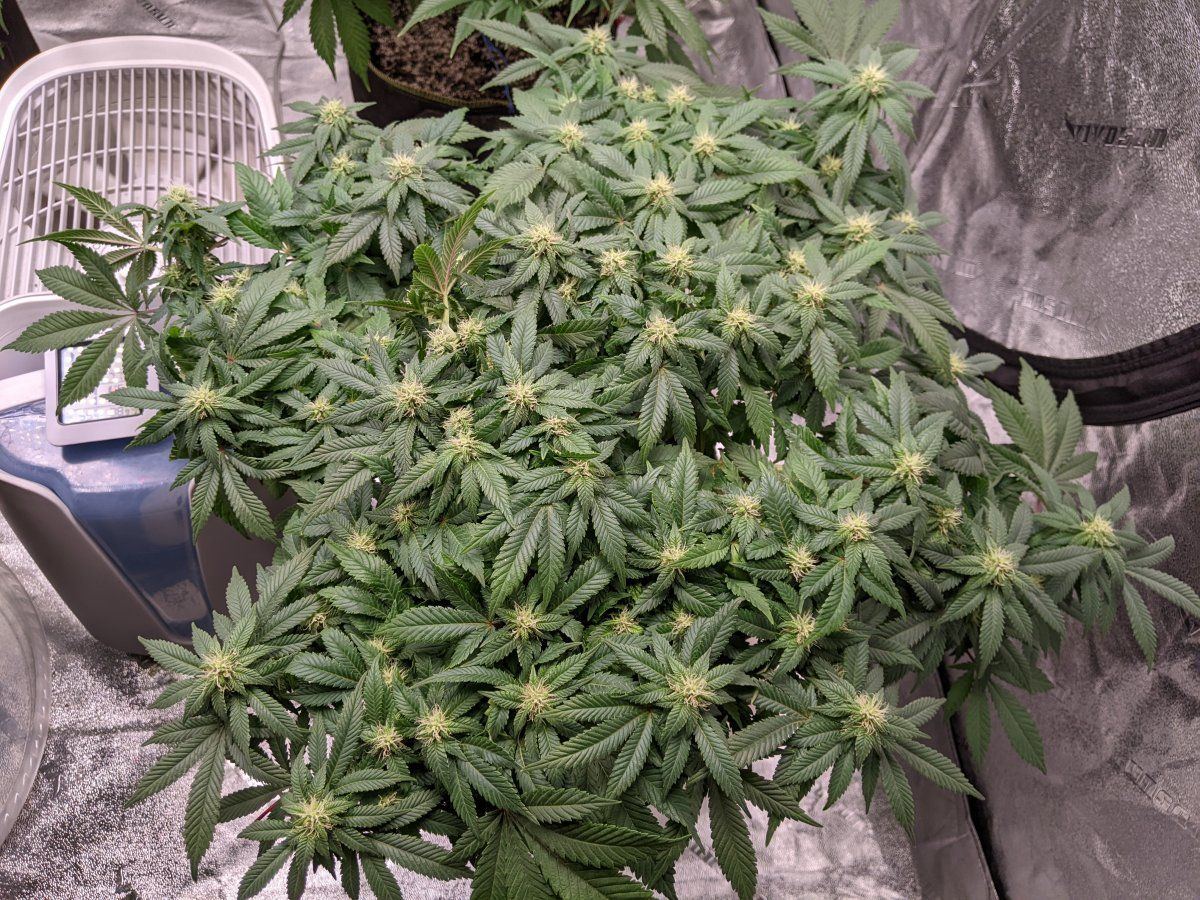 PXL 20220324 180853540