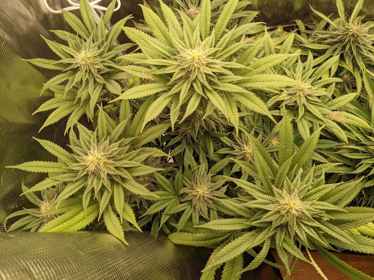 PXL 20220404 101039203