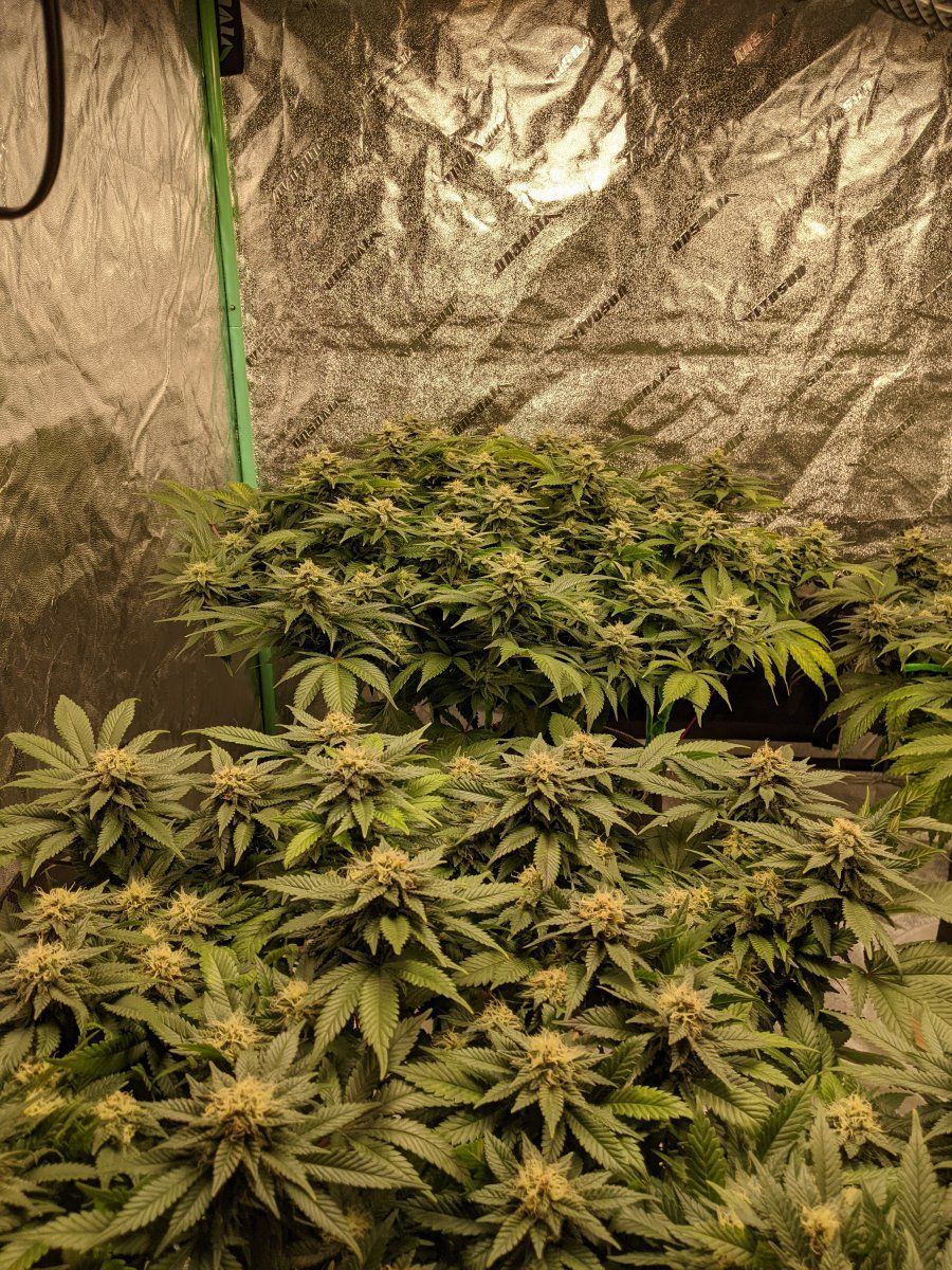 PXL 20220405 175313882