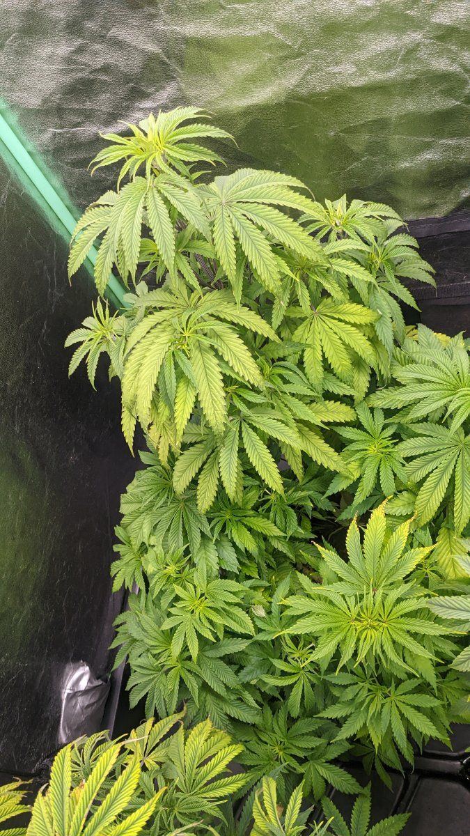 PXL 20220409 084301613