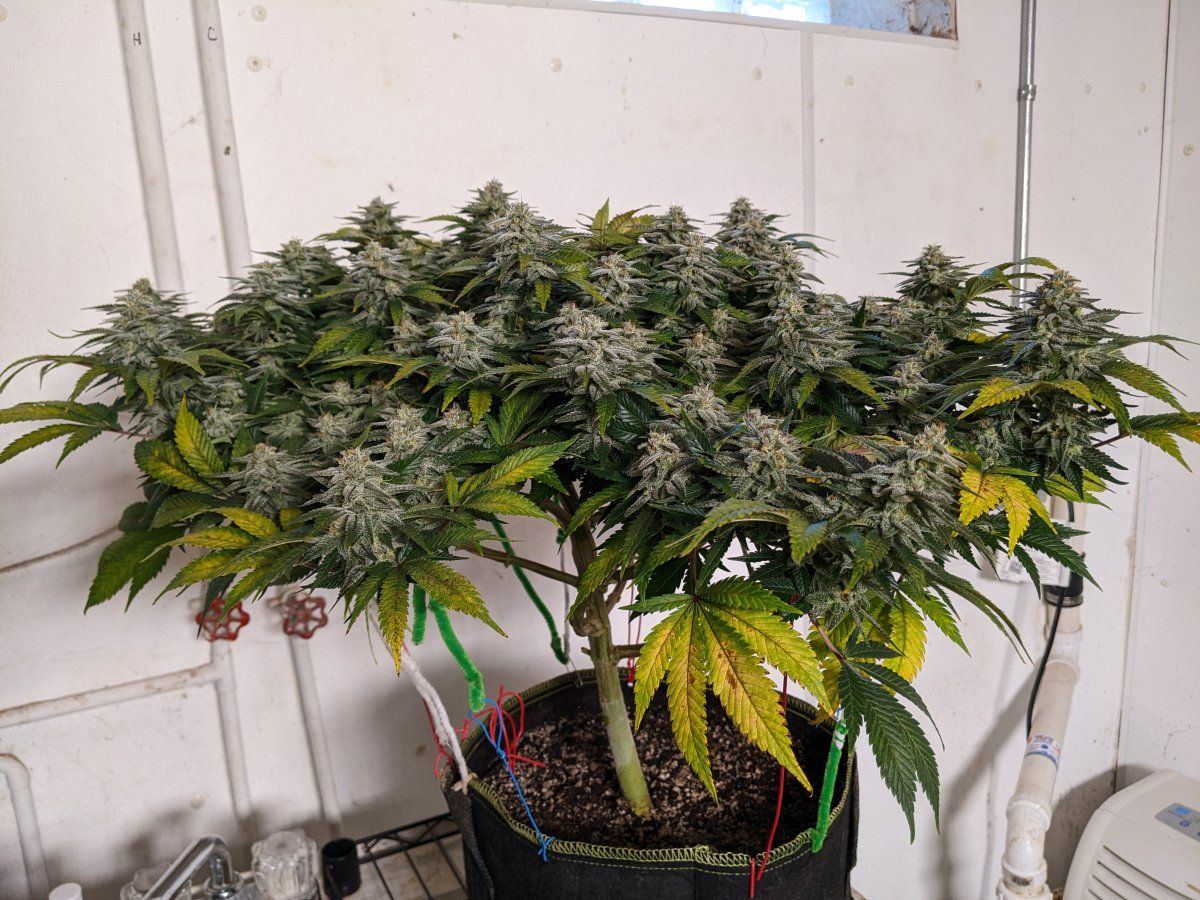 PXL 20220416 213339329