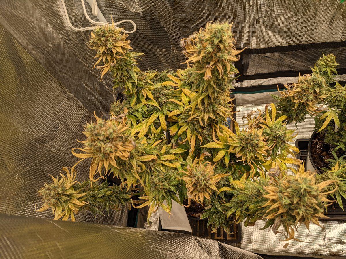 PXL 20220509 083911084