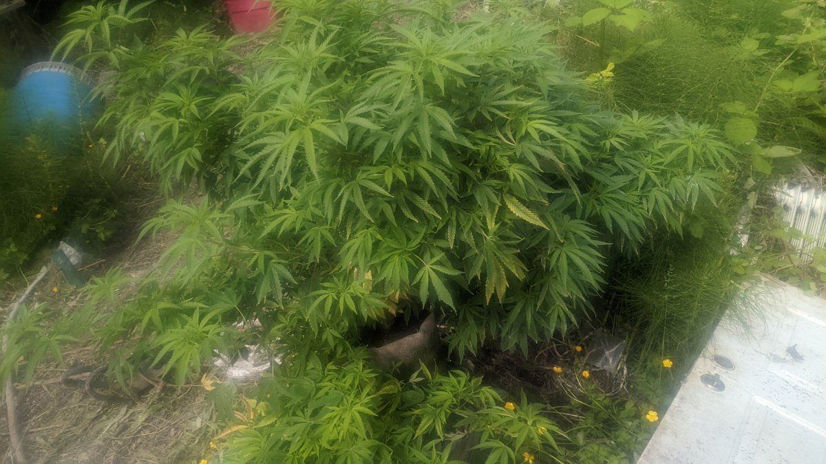 PXL 20220622 235056823