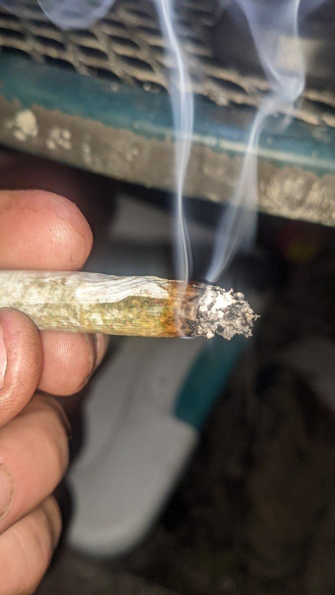 PXL 20220629 043746772