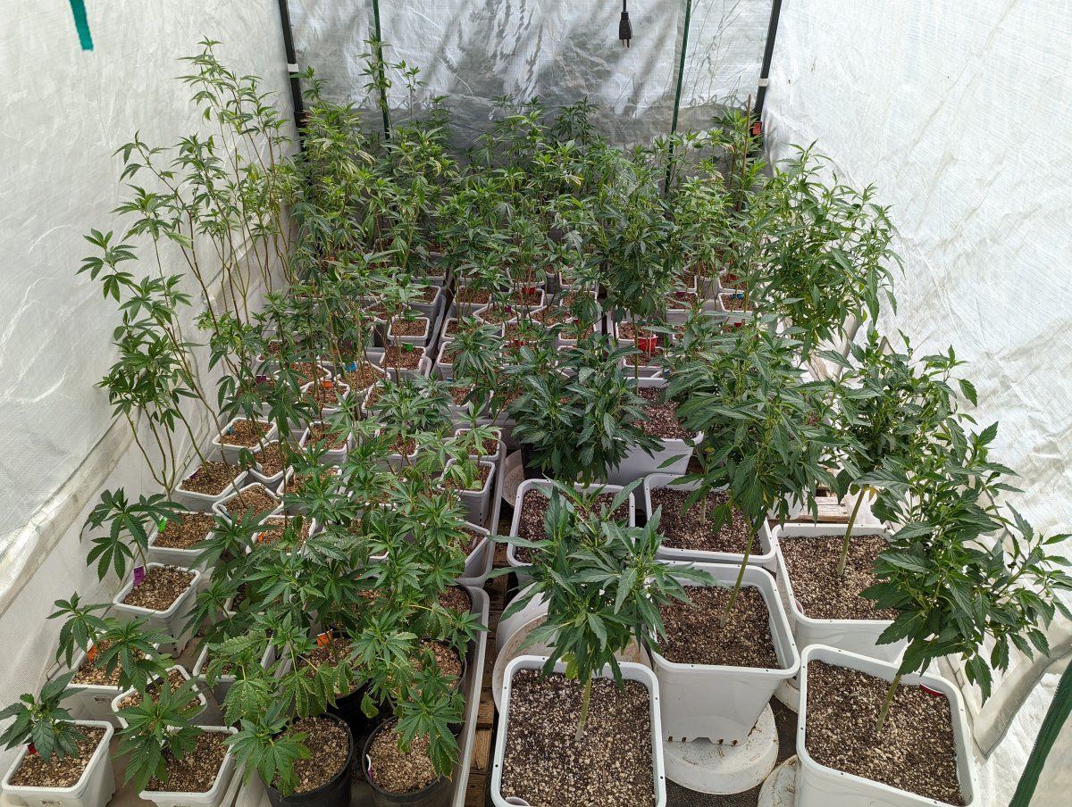 PXL 20220719 2248487482