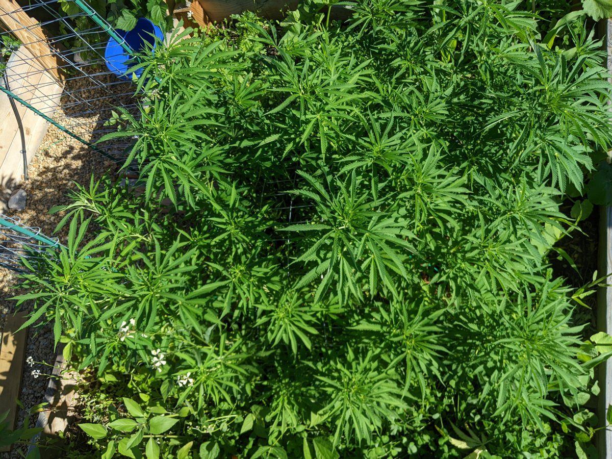 PXL 20220722 000407541