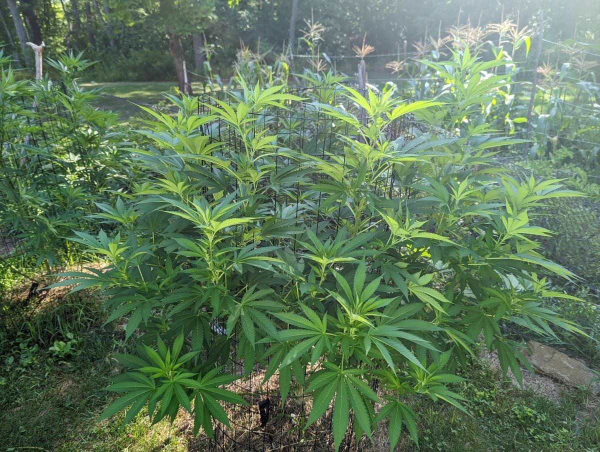 PXL 20220723 131931701