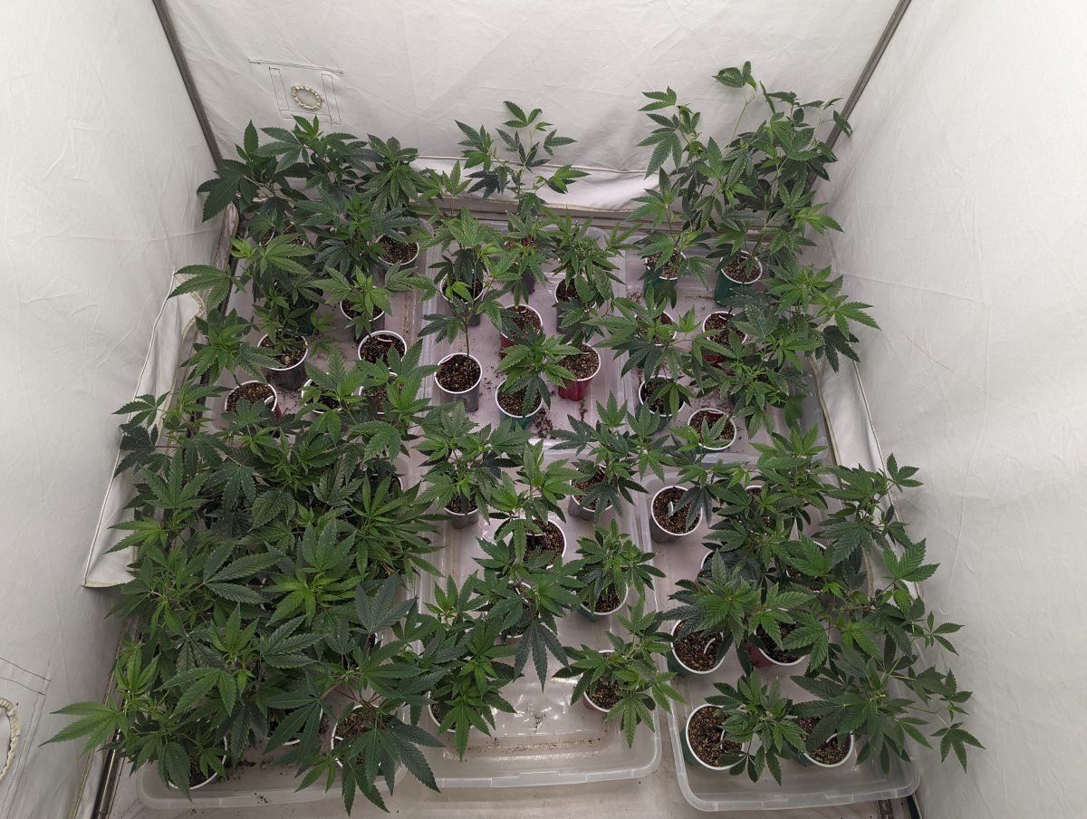 PXL 20220724 164622605