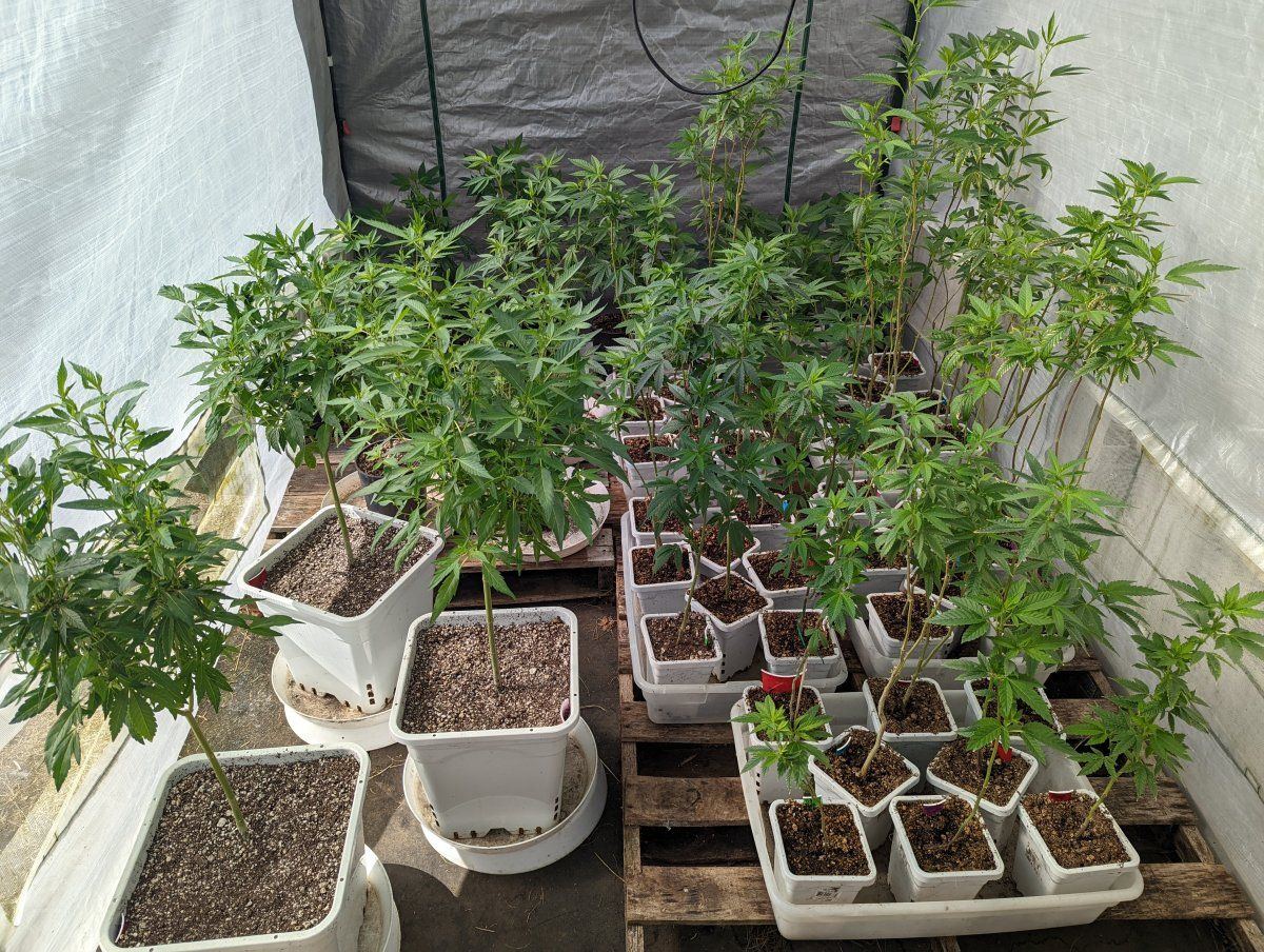 PXL 20220724 165213688