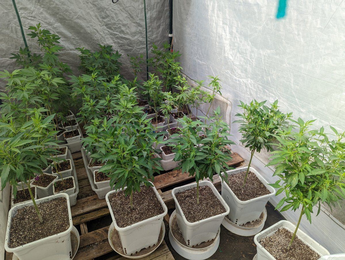 PXL 20220724 165341980