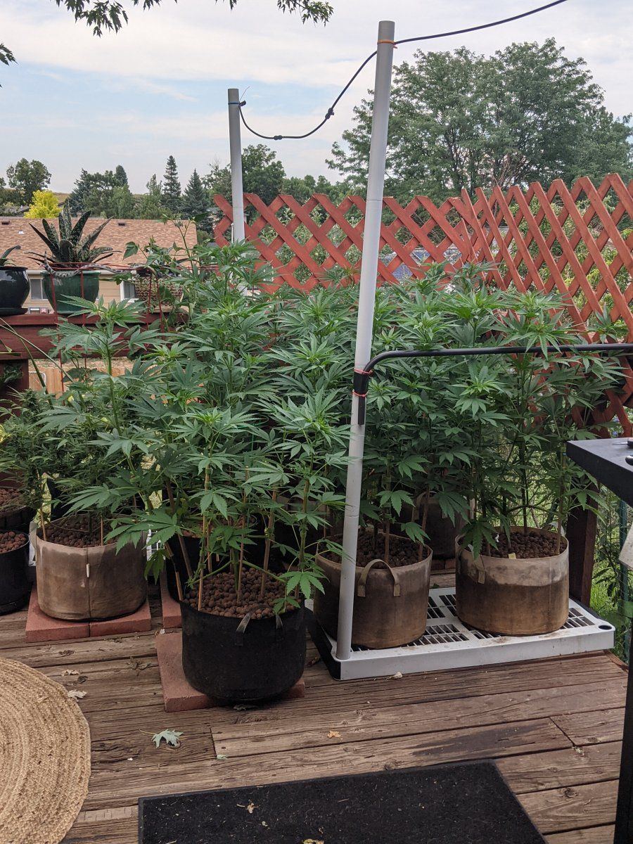 PXL 20220727 233522487