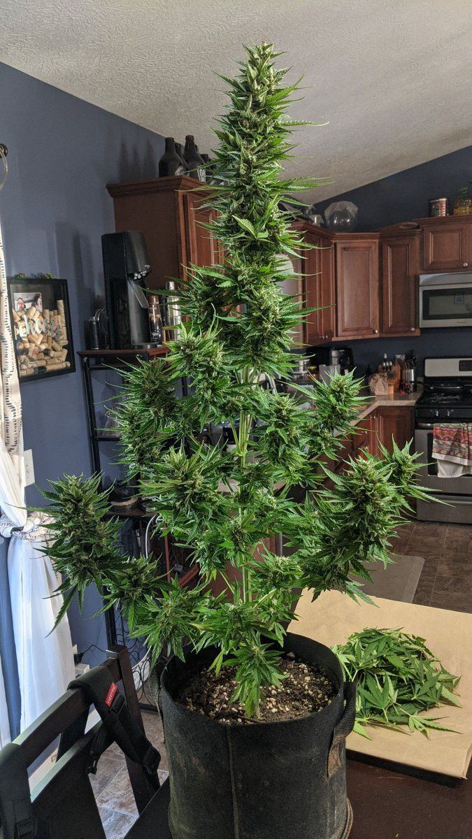 PXL 20220730 234348885
