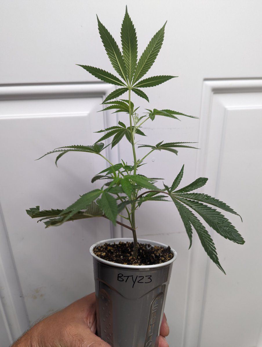 PXL 20220805 182448235