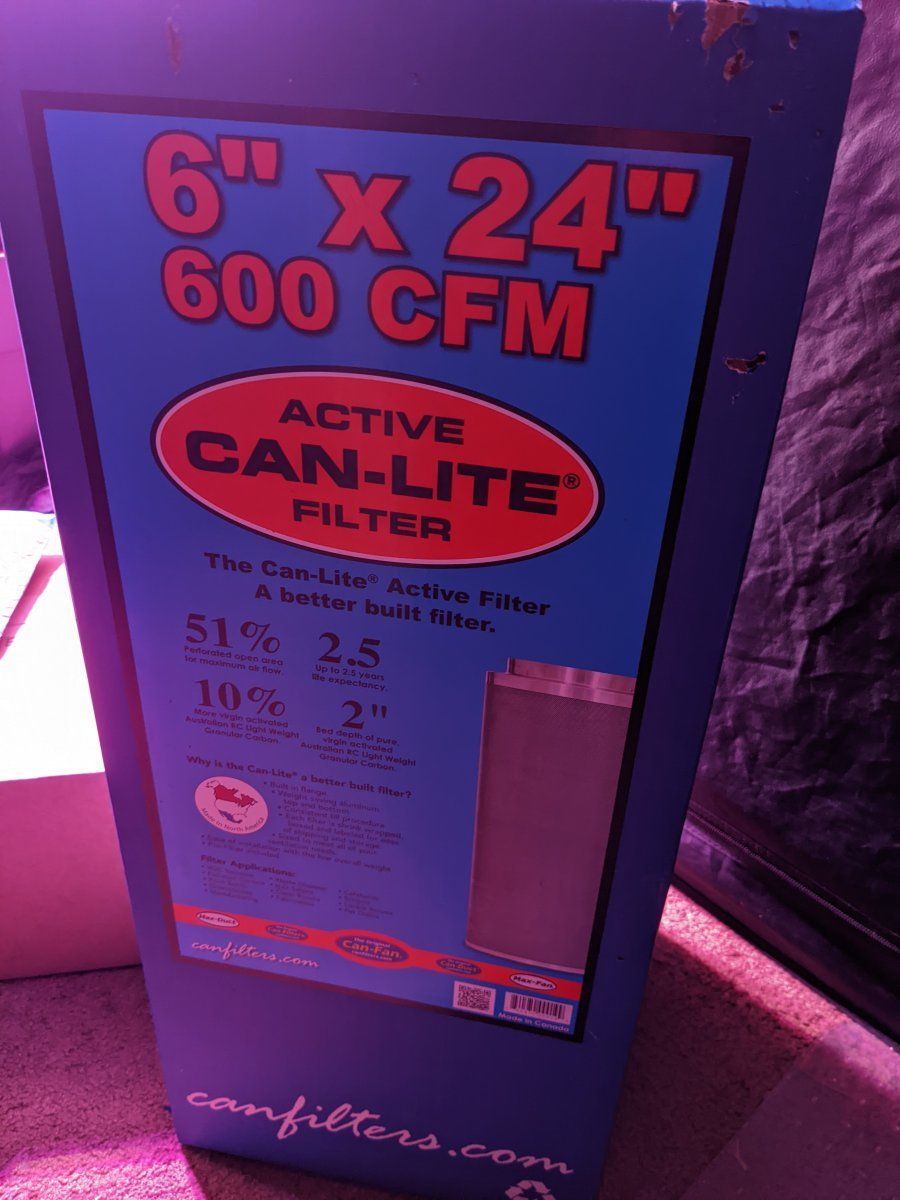 PXL 20220805 185943352