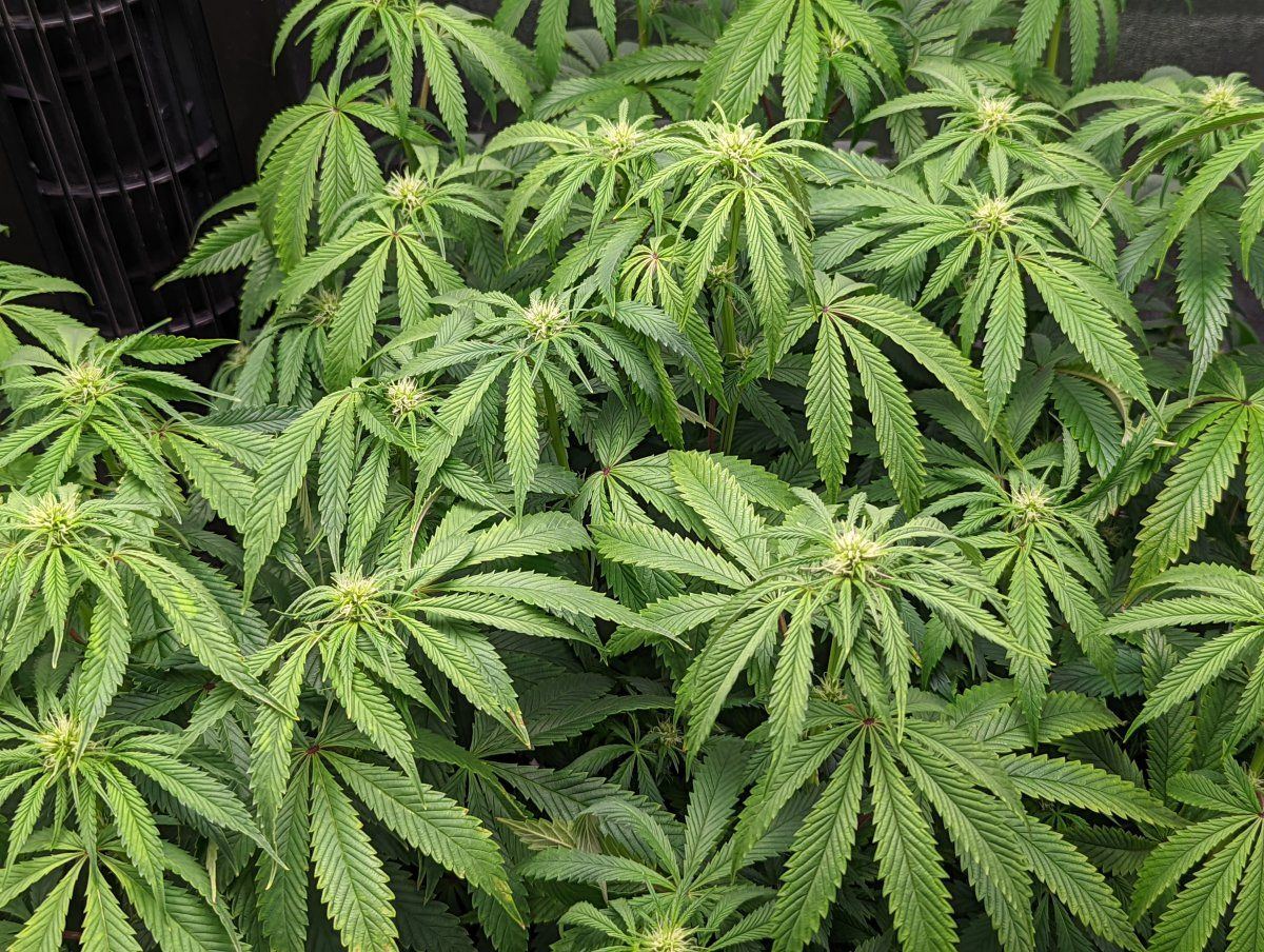 PXL 20220808 142216466
