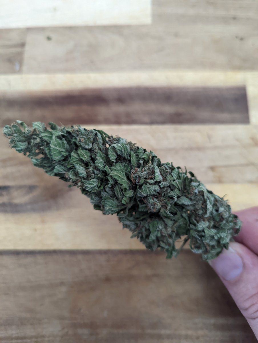 PXL 20220810 223242568