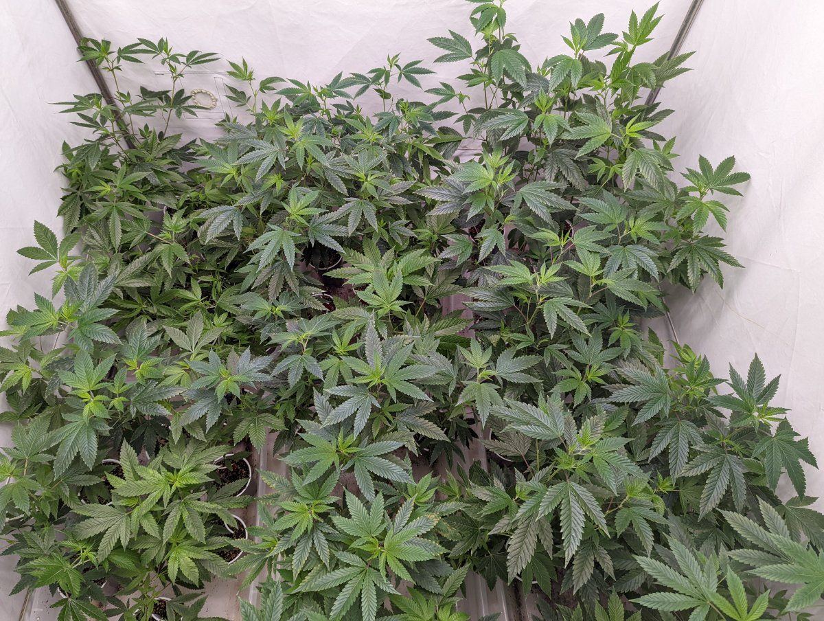PXL 20220816 213227345