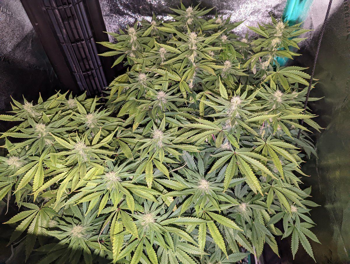 PXL 20220818 013542292