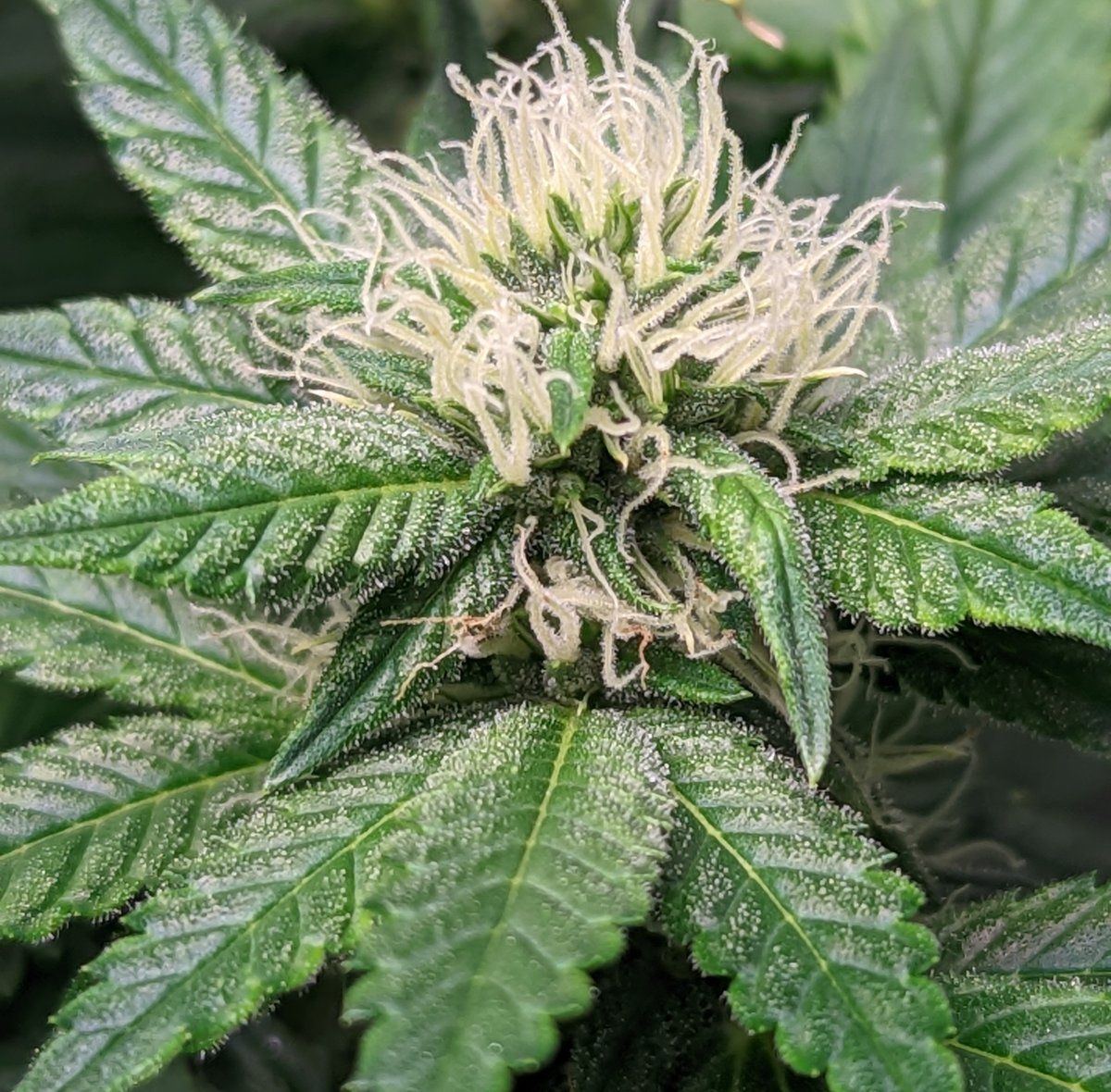 PXL 20220819 172944494
