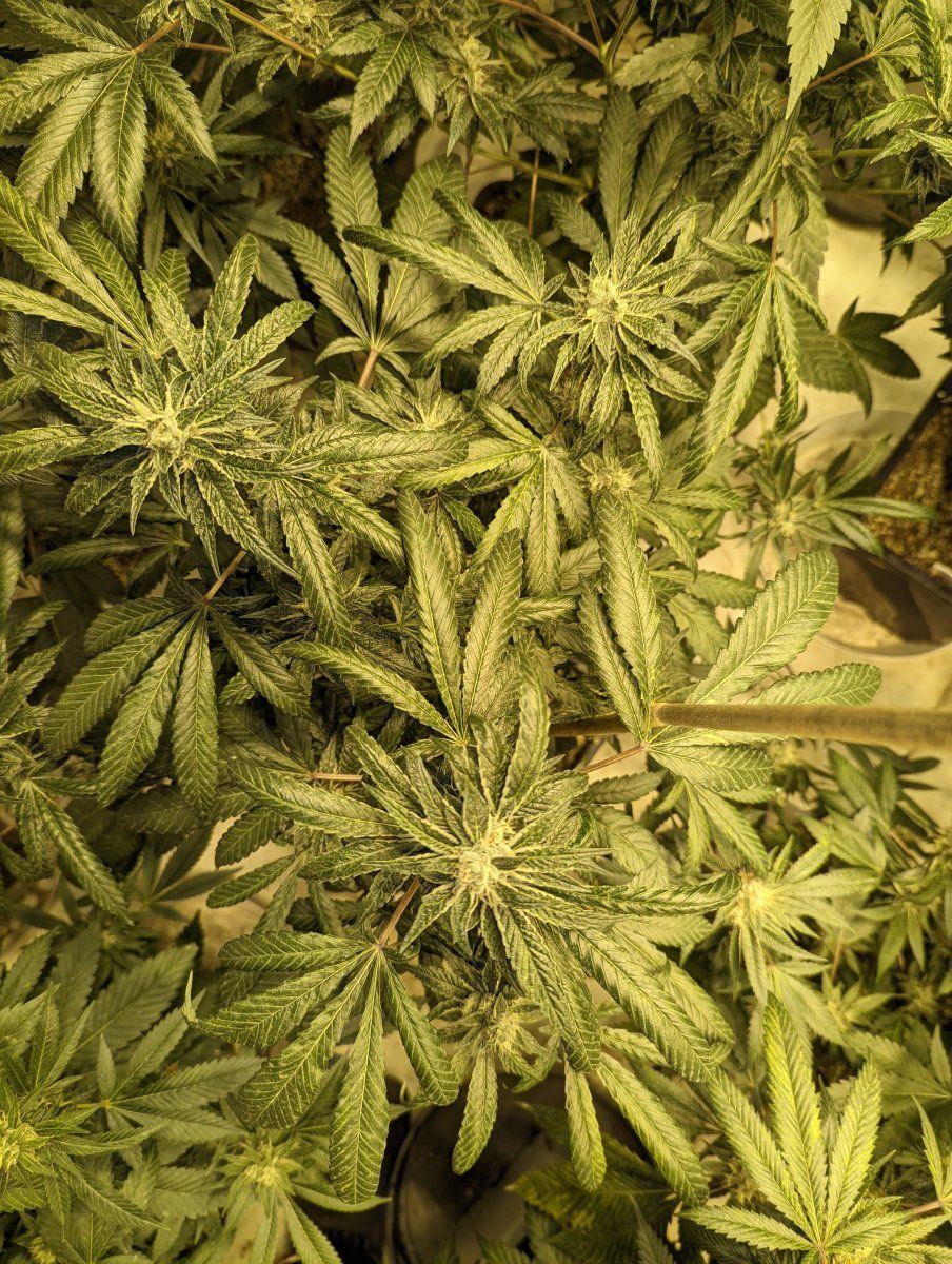 PXL 20220823 045937623
