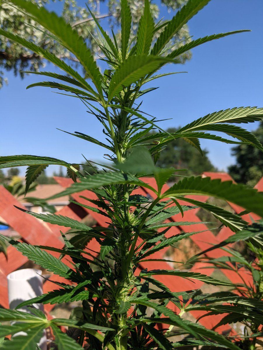 PXL 20220829 212921577
