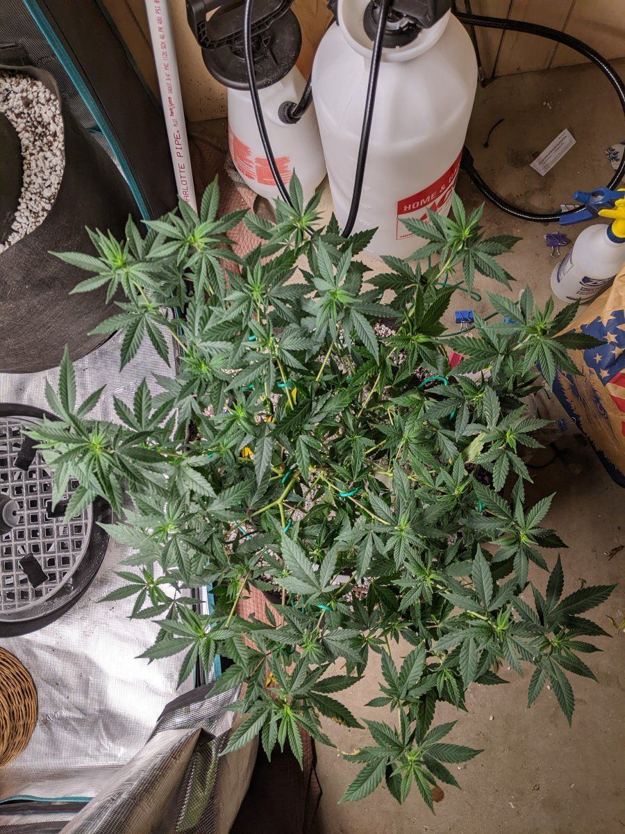 PXL 20220831 025141838MP