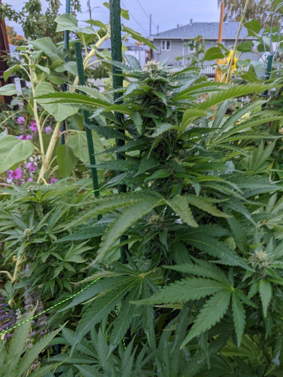 PXL 20221001 004507767