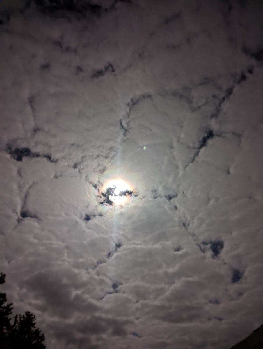 PXL 20221008 034906051