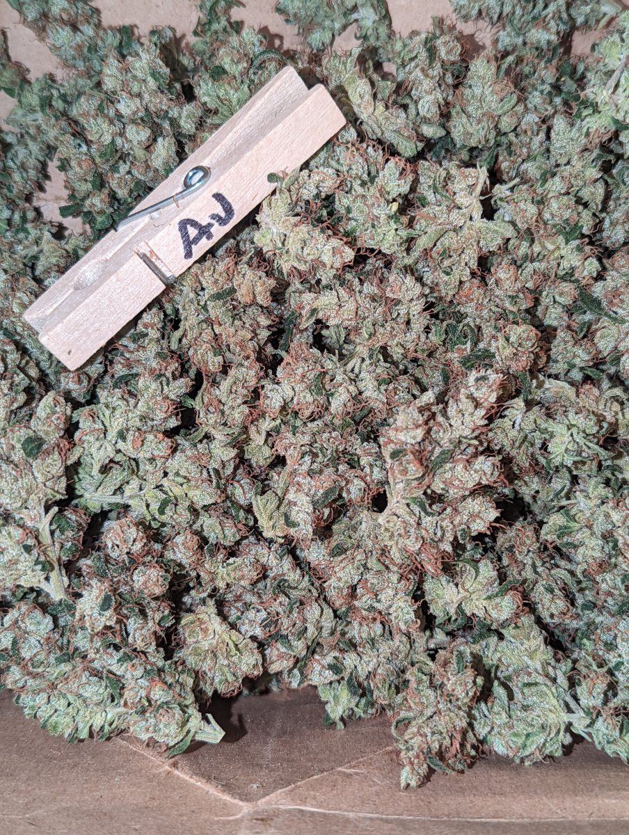 PXL 20221008 2039203772