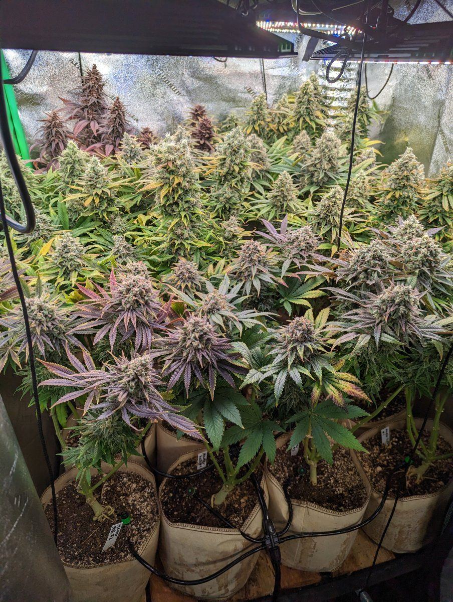 PXL 20230130 162535070